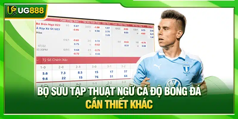 Thuật Ngữ Cá Độ Bóng Đá Từ Cơ Bản Đến Nâng Cao Tại UG888 3 Bộ sưu tập thuật ngữ cá độ bóng đá cần thiết khác