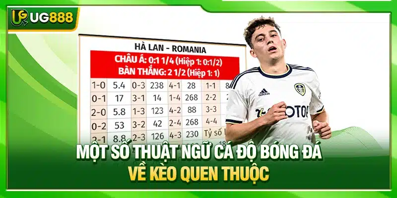 Thuật Ngữ Cá Độ Bóng Đá Từ Cơ Bản Đến Nâng Cao Tại UG888 2 Một số thuật ngữ cá độ bóng đá về kèo quen thuộc