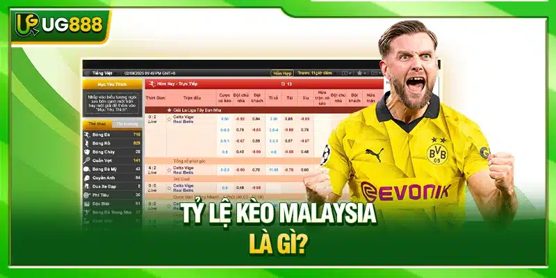 Tỷ lệ kèo Malaysia - Quy Tắc Đọc Và Mẹo Dự Đoán Từ UG888 2 Tỷ lệ kèo Malaysia là gì?