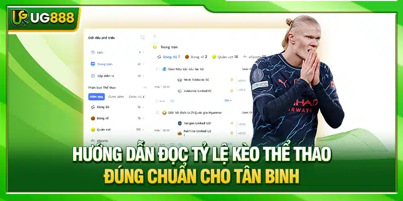 UG888 Hướng Dẫn Đọc Tỷ Lệ Kèo Thể Thao Đúng Chuẩn Cho Tân Binh 1 Đọc Tỷ Lệ Kèo